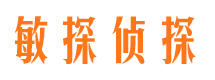 柯城市私人侦探